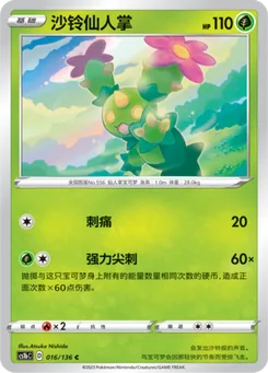Maractus