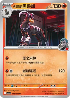Team Rocket's Houndoom