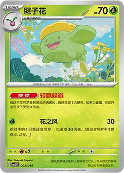 Skiploom