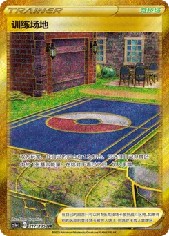 Training Court