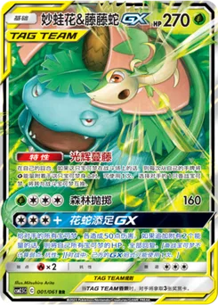 Venusaur & Snivy GX