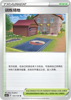 Training Court