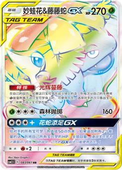 Venusaur & Snivy GX