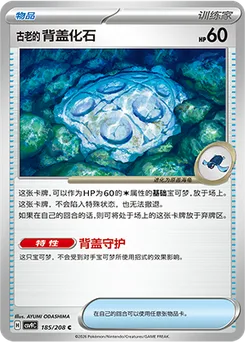 Antique Cover Fossil