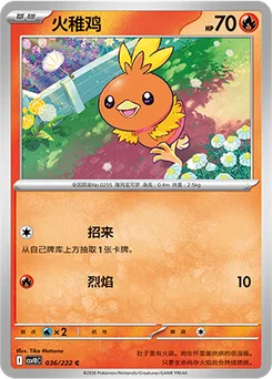 Torchic