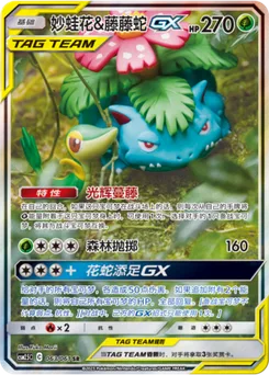 Venusaur & Snivy GX