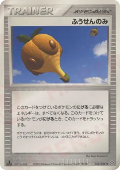 Balloon Berry