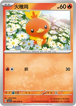 Torchic