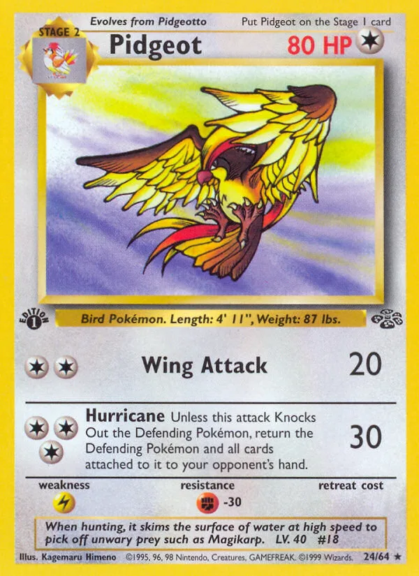 Pidgeot, Jungle #24/64