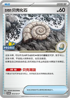 Antique Helix Fossil