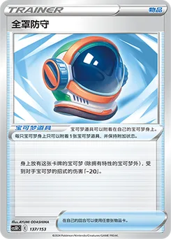 Full Face Guard