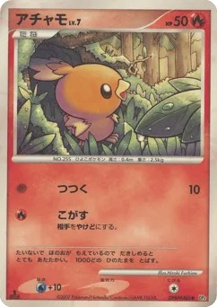 Torchic