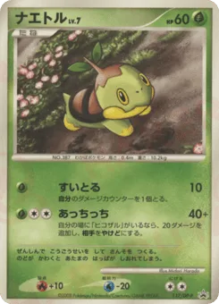 Turtwig
