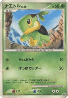 Turtwig