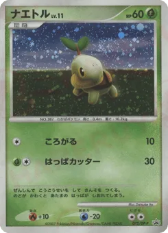 Turtwig