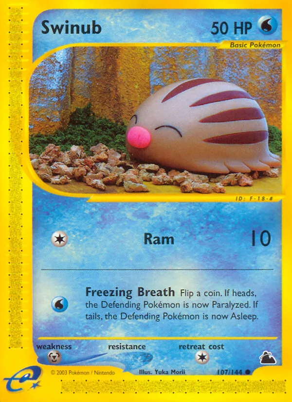 Swinub, Skyridge #107/144