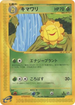 Sunflora