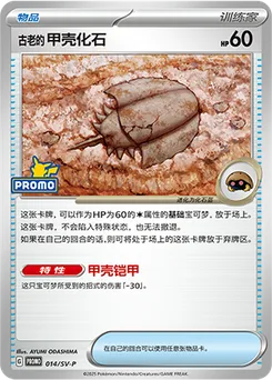 Antique Dome Fossil
