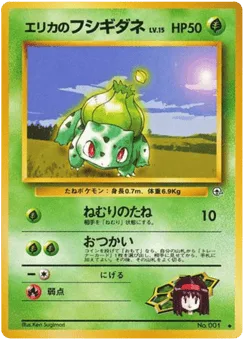 Erika's Bulbasaur