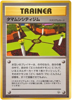 Celadon City Gym
