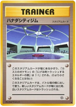 Cerulean City Gym