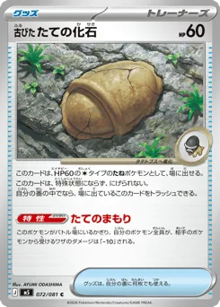 Antique Shield Fossil