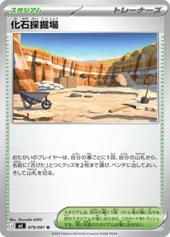 Fossil Excavation Site