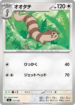 Furret