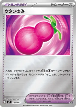 Payapa Berry
