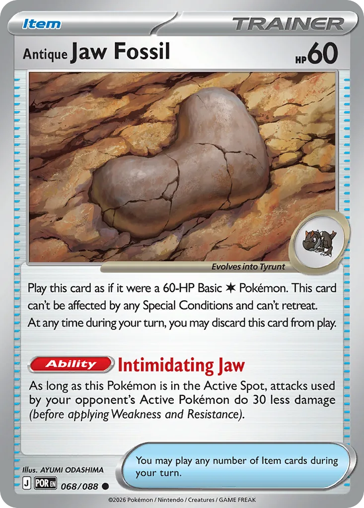 Antique Jaw Fossil, Perfect Order #068/088