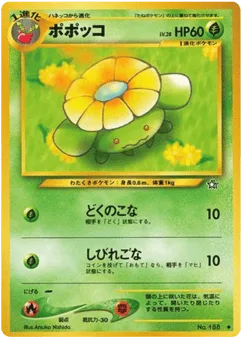 Skiploom