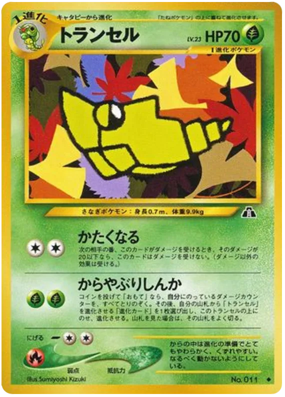 Metapod, Crossing the Ruins... #No.011