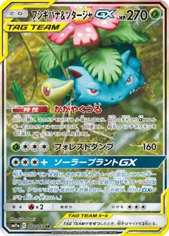 Venusaur & Snivy-GX