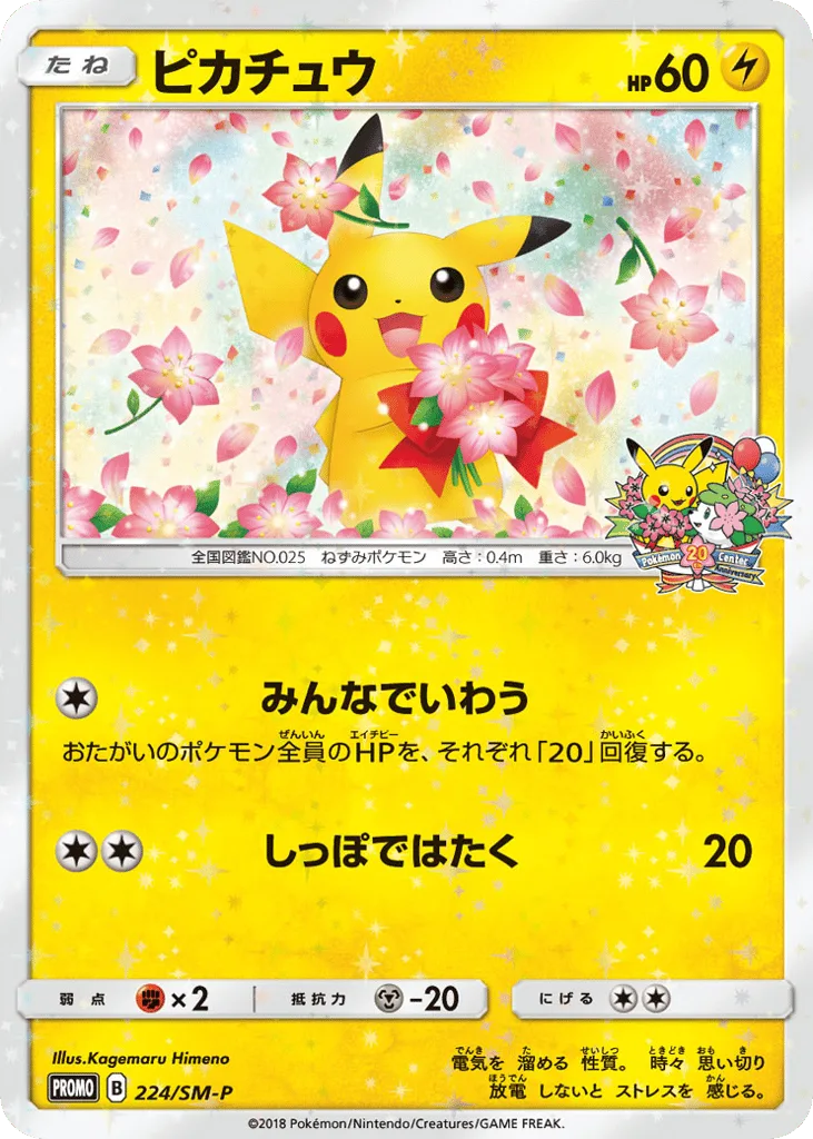Pikachu, Sun & Moon Promos #224/SM-P