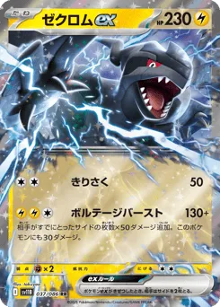Zekrom ex