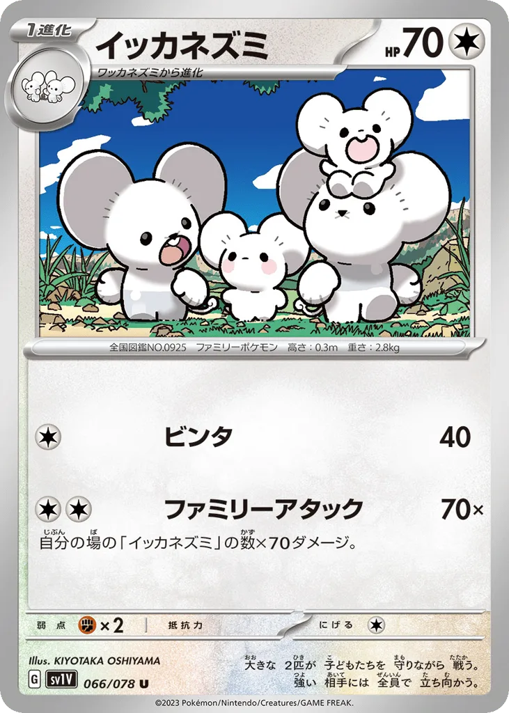 Maushold, Violet ex #066/078