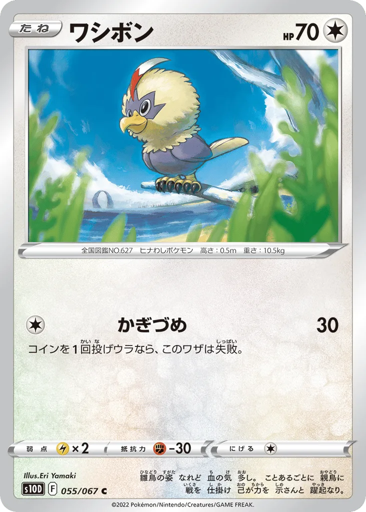 Rufflet, Time Gazer #055/067