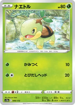 Turtwig