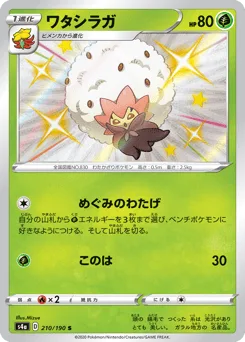 Eldegoss
