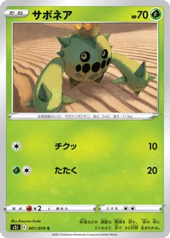Cacnea