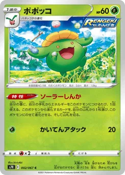 Skiploom