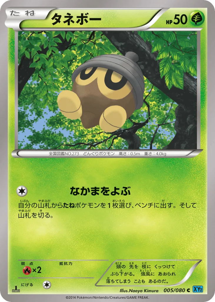 Seedot, Wild Blaze #005/080