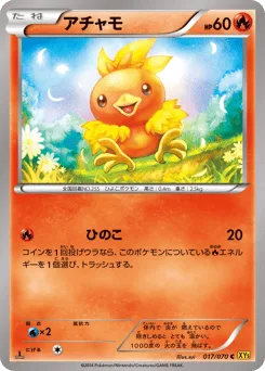 Torchic
