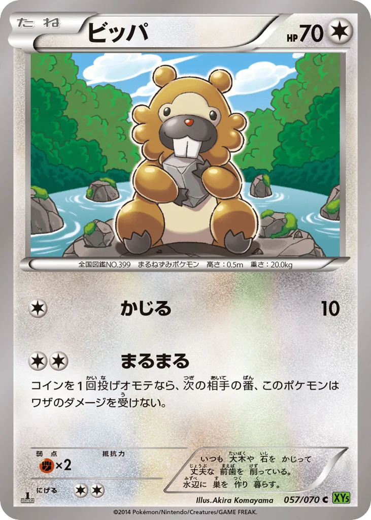 Bidoof, Tidal Storm #057/070