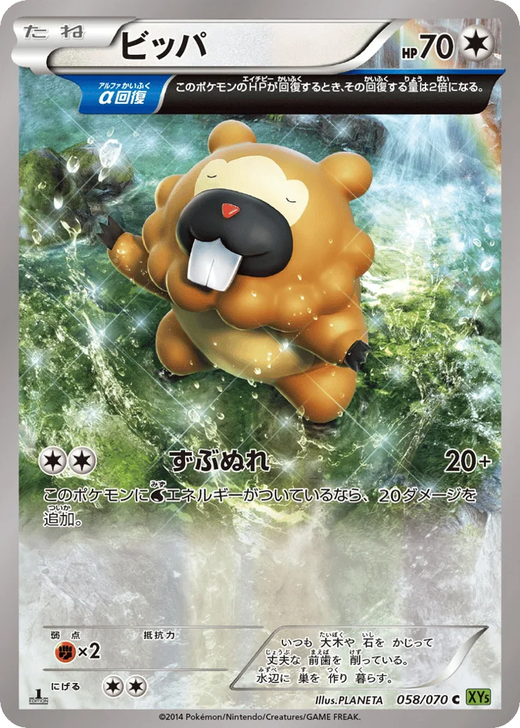 Bidoof, Tidal Storm #058/070